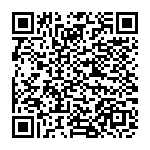 5歳児健康診査問診票入力フォーム