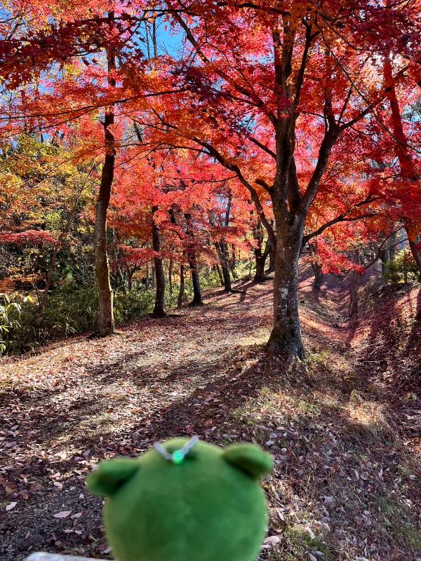楽山公園の様子