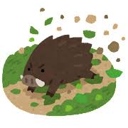inosisi