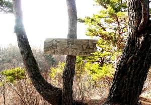 山頂の写真