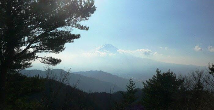 倉見山の写真
