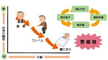 高齢になり身体や心の働きが弱っていく様子