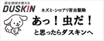 ダスキンラピス