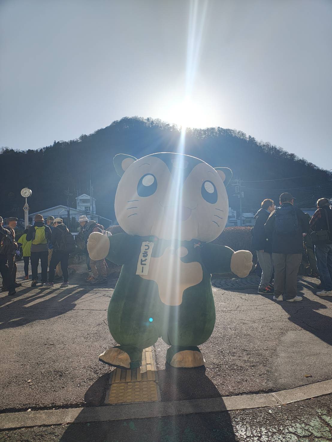 ダイヤモンドつるビー