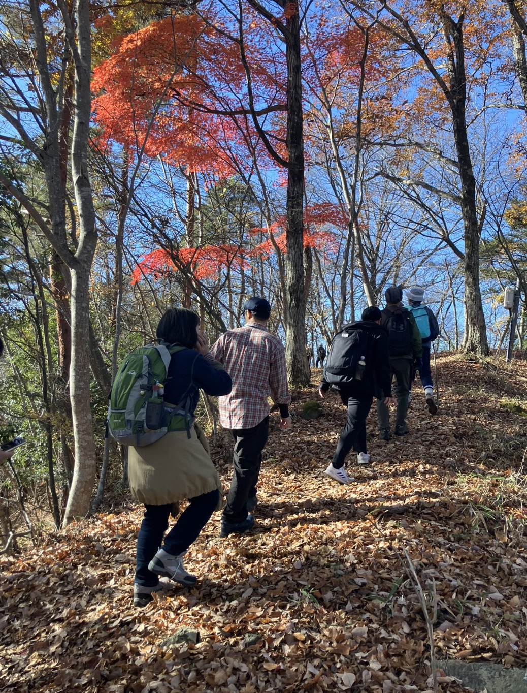 ハイキングの様子