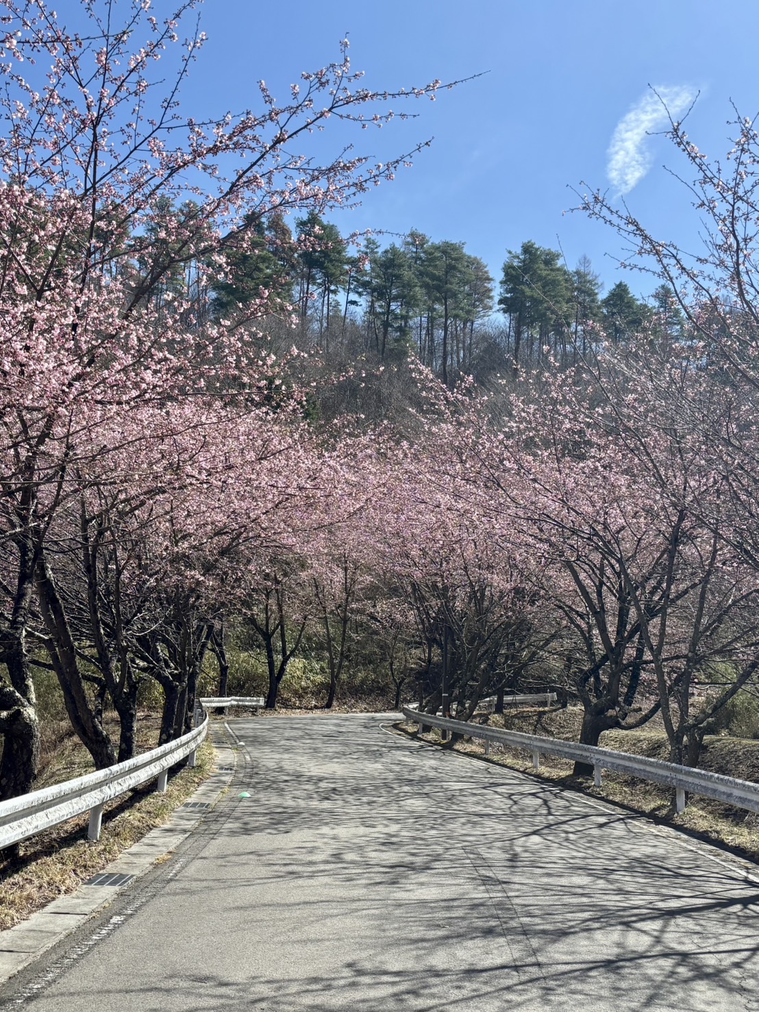 トンネル