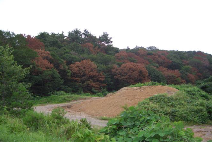 「ナラ枯れ」の様子（赤褐色のものが被害木）（写真富山県農林水産総合技術センター提供）