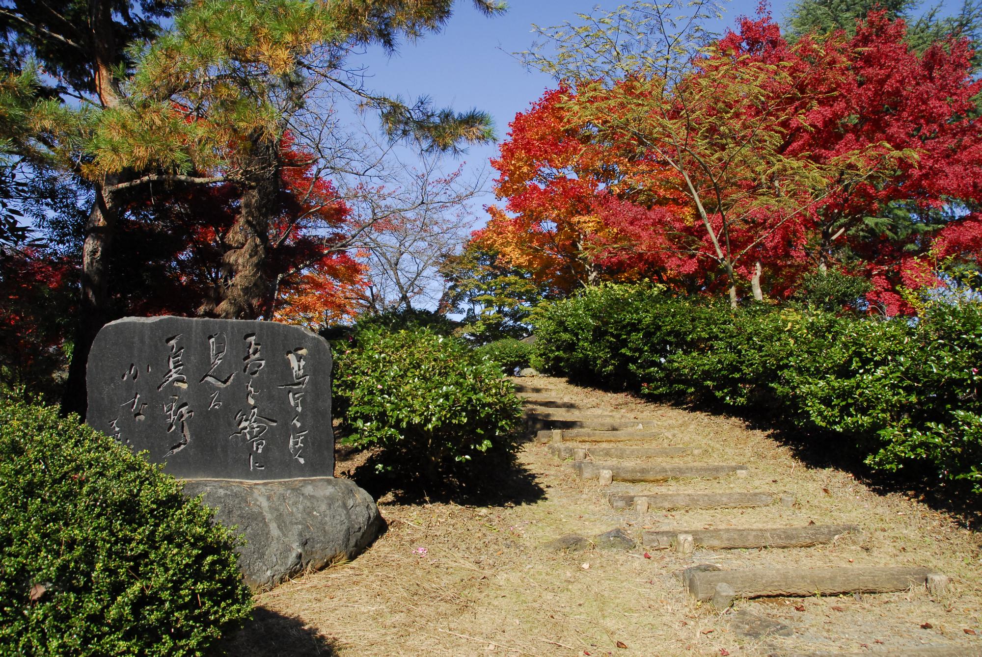 楽山公園松尾芭蕉句碑