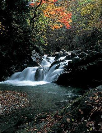 秋の色鮮やかな紅葉に囲まれ、岩が積み重なりいくつもの小さな滝をつくり流れる鹿留渓谷の写真