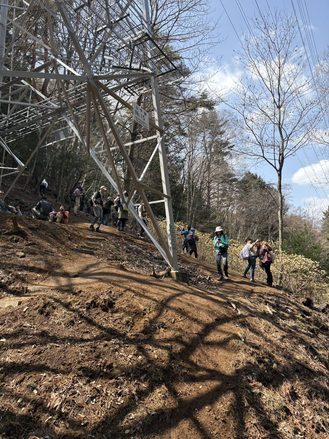 ハイキングの様子