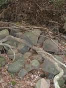 勝山城側で確認された石積みの写真