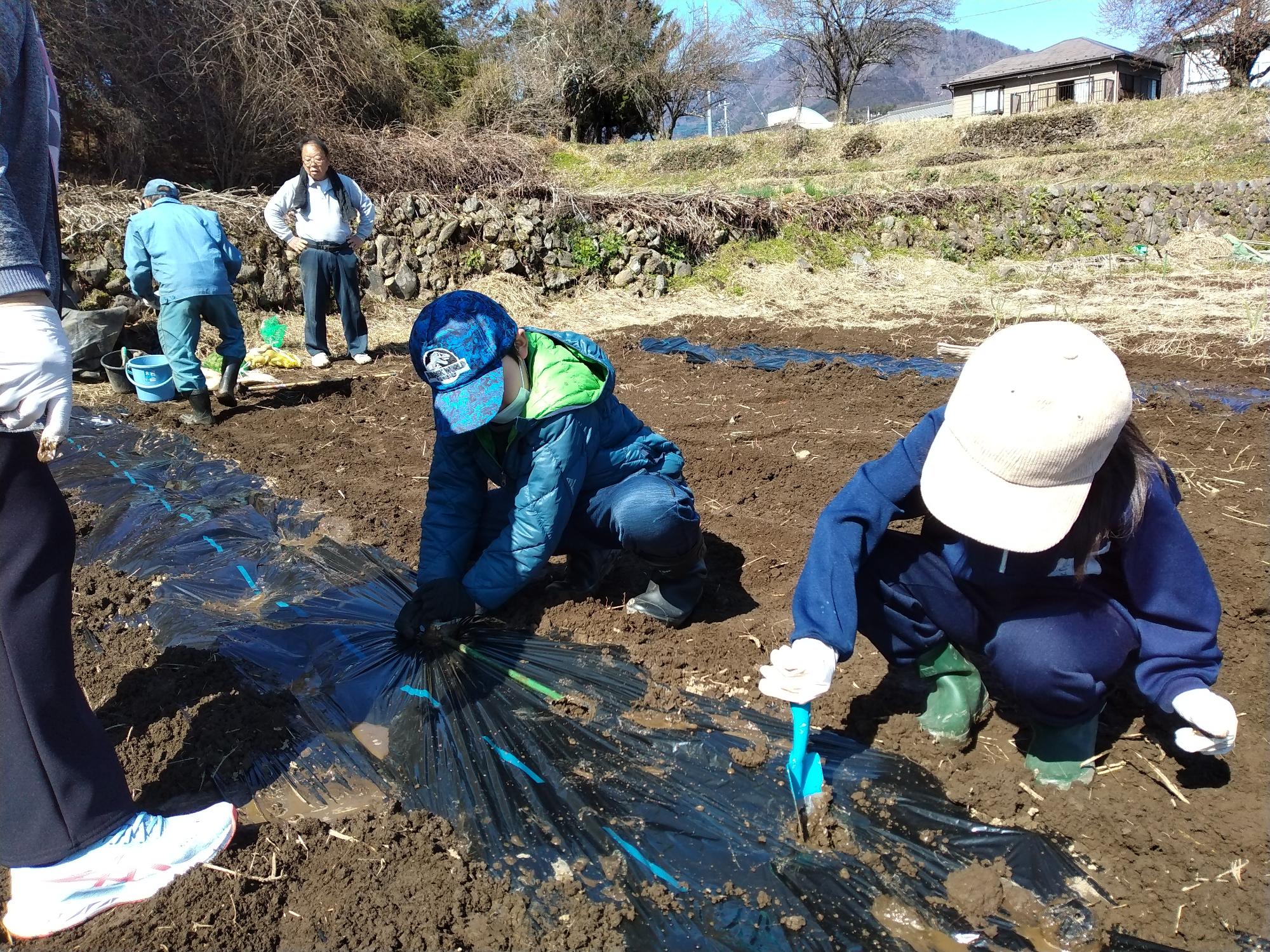 じゃがいも