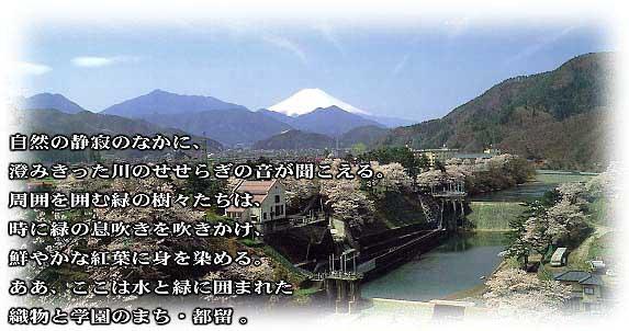 川茂発電所付近から見た桜と富士山の写真