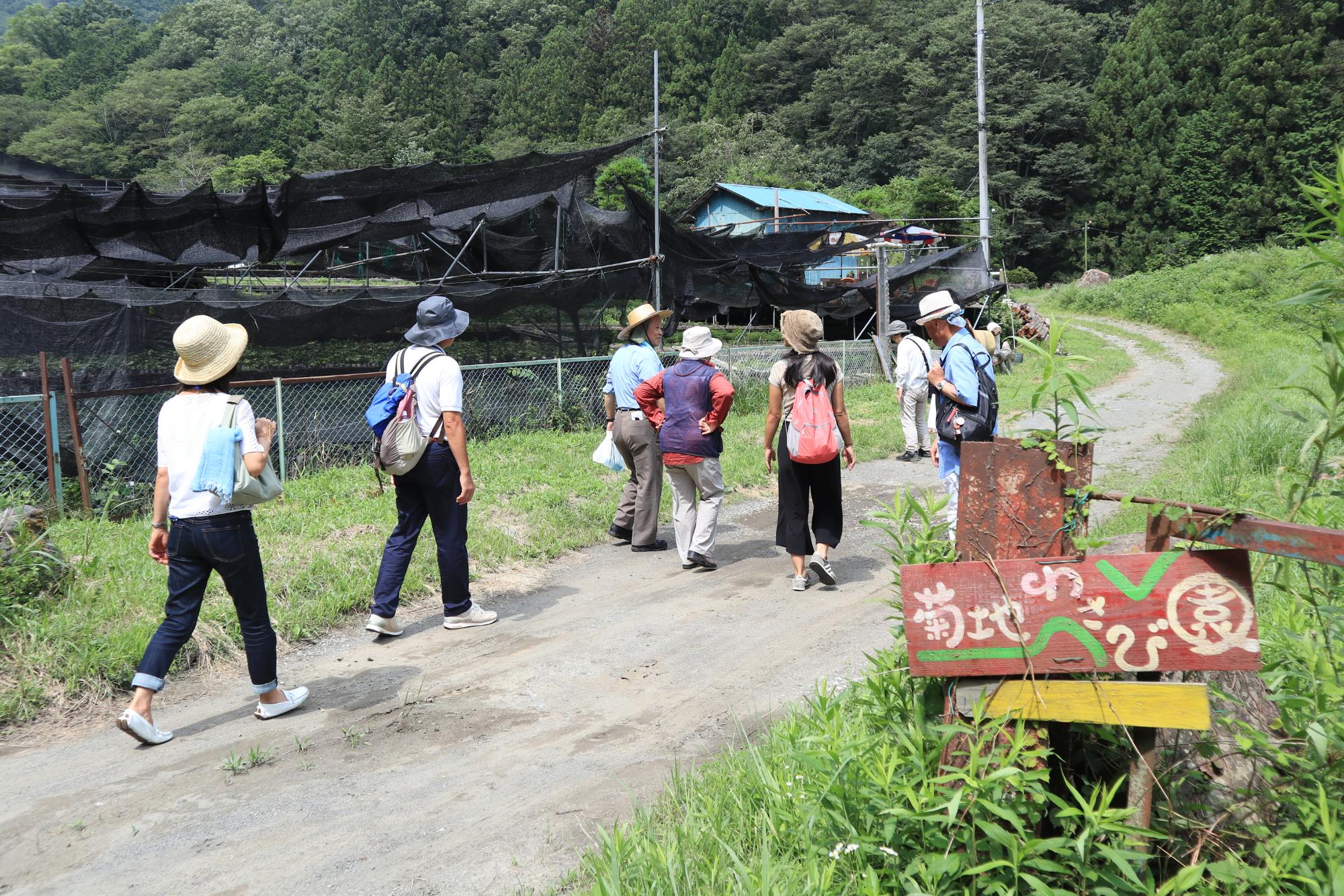 菊地わさび園