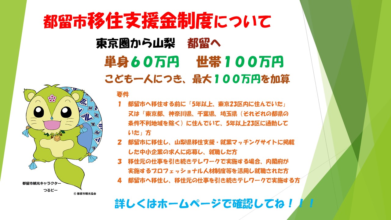 移住支援金の制度概要